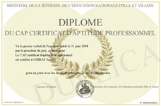 The French vocational aptitude certificate example